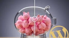 Best WordPress Image Optimizer? Try EWWW & These